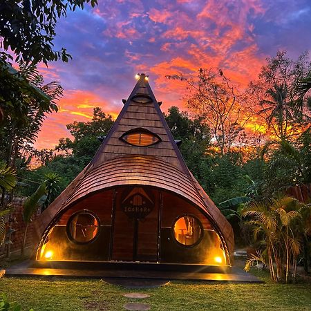 Igabara Hobbit House 호텔 탕갈레 외부 사진